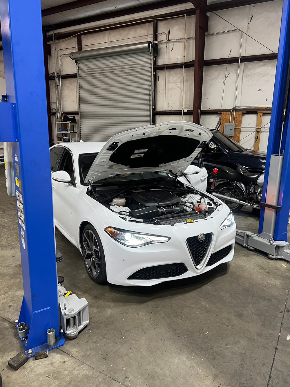 Argos European Car Care